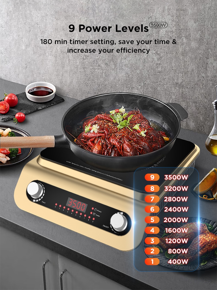 Industrial Professional 3500 Watts Kitchen Home Single Portable Rotary Knob Controller Single Ceramic Induction Cooktop Cooker  TS-TP3.5X-13